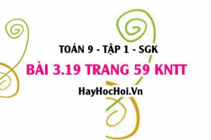 Bài 3.19 trang 59 Toán 9 tập 1 Kết nối tri thức